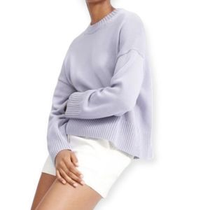 Everlane Women's Lavender Crew Neck Sweater